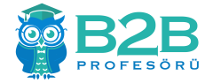 B2B Profesörü