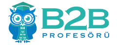 B2B Profesörü