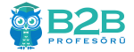 B2B Profesörü