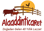 Alaaddin Ticaret Logo